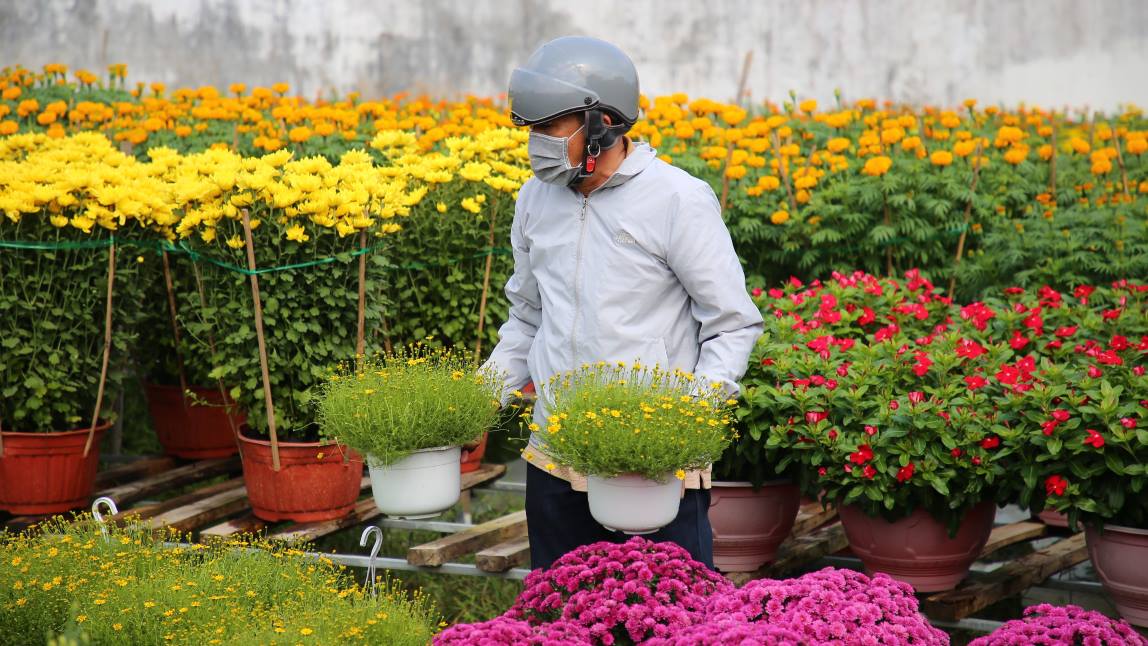 Cac nha vuon lien tuc cap nhat va thu nghiem giong hoa moi de da dang chung loai va thu hut khach hang.