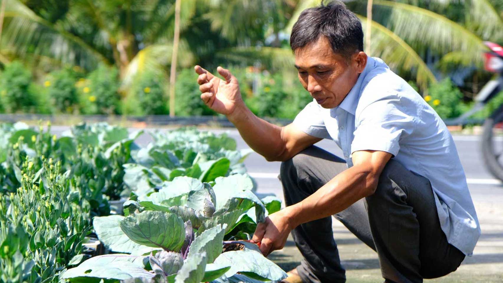 Bringing agricultural products to pots to sell for Tet, many farmers are excited because supply cannot meet demand.