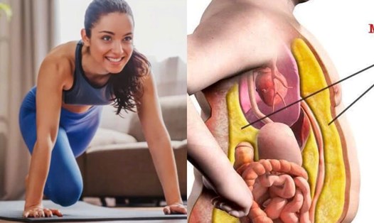 Một số cách giảm mỡ nội tạng. Đồ họa: Hương Giang