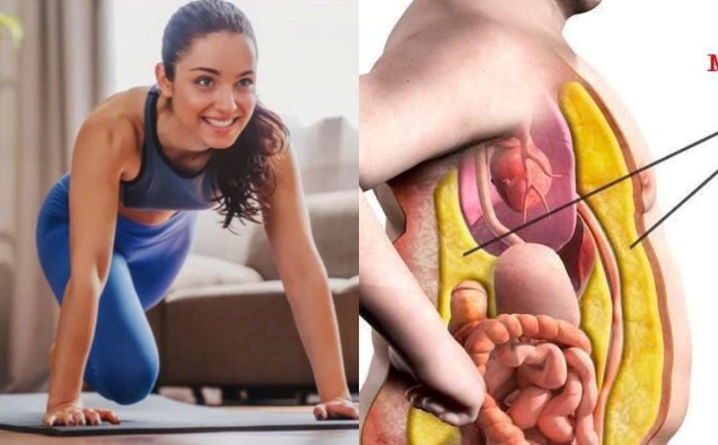 Some ways to reduce visceral fat. Graphics: Huong Giang