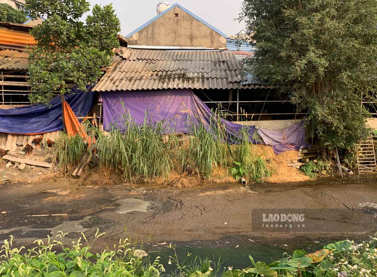 Ô nhiễm ở xã Vũ Bản. Ảnh: Hà Vi