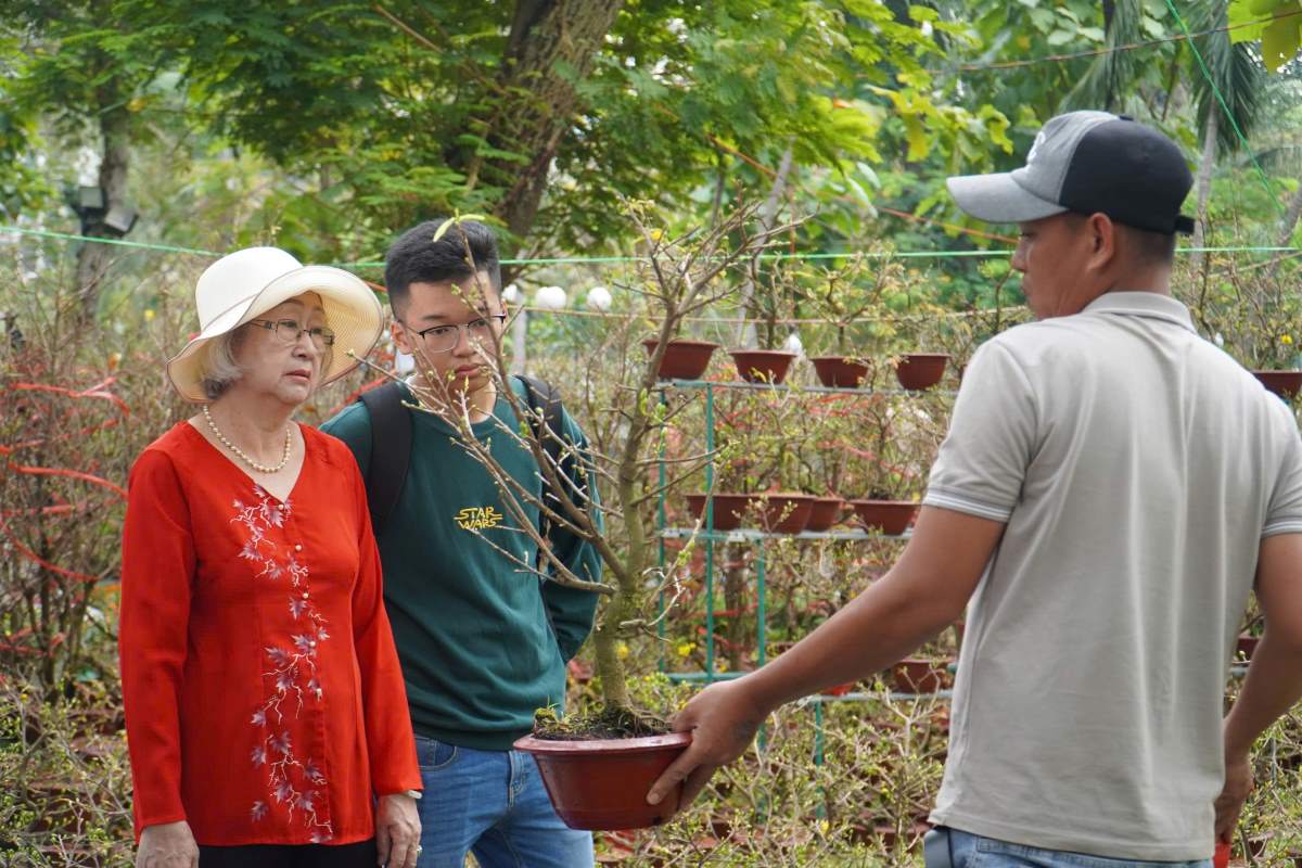 People buy flowers for Tet.