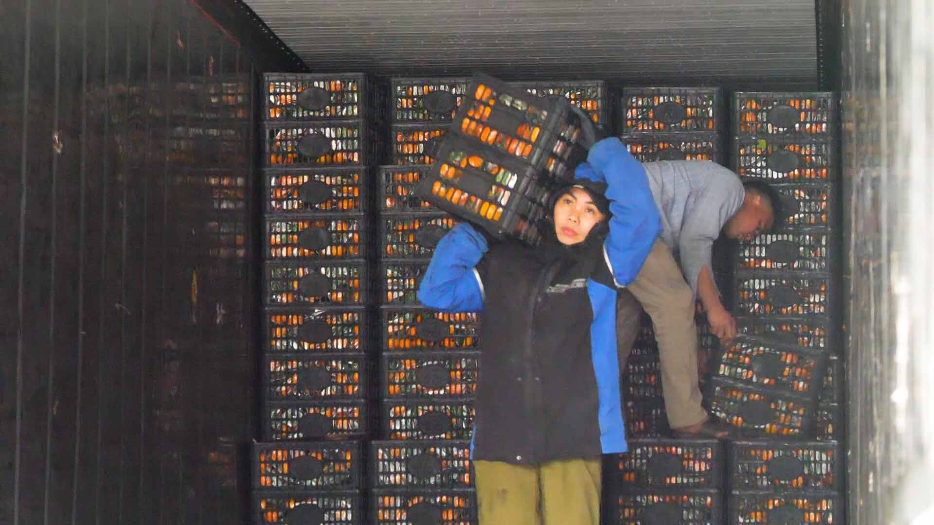 Imported agricultural products market "heats up" every day near Tet