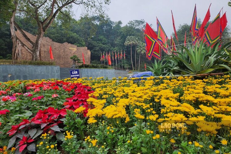 The area of ​​the Gieng Temple 5-way intersection - Hung Temple historical relic site is planted with many flowers. Photo: To Cong.