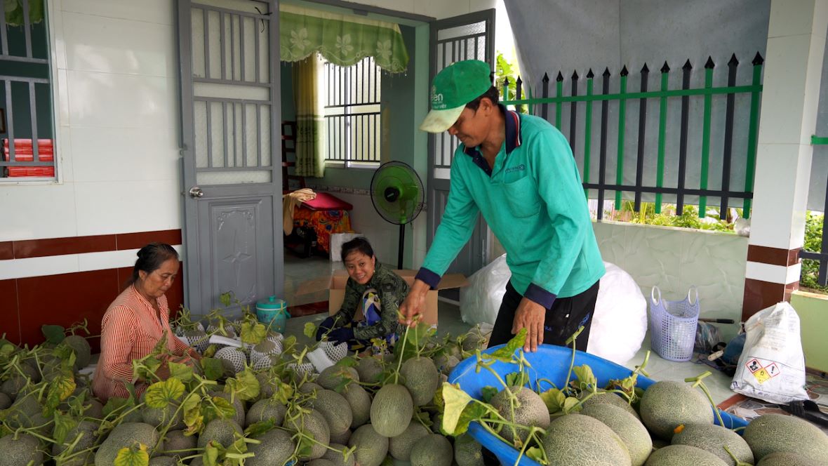 Nha vuon trung mua trung gia vu dua luoi Tet. Anh: Phuong Anh