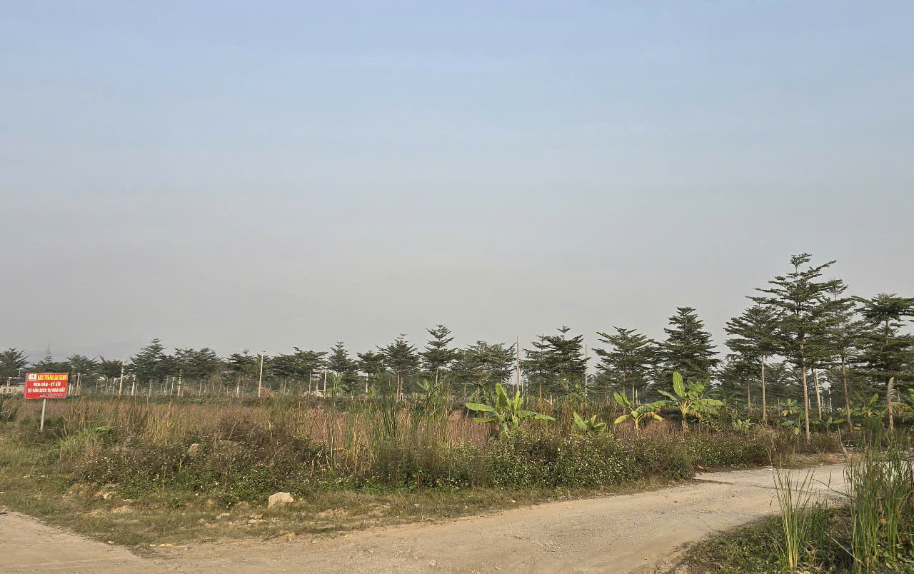 More than 1,800 plots of land in the center of Gia Vien district that were auctioned since 2020 are still unoccupied. Photo: Nguyen Truong