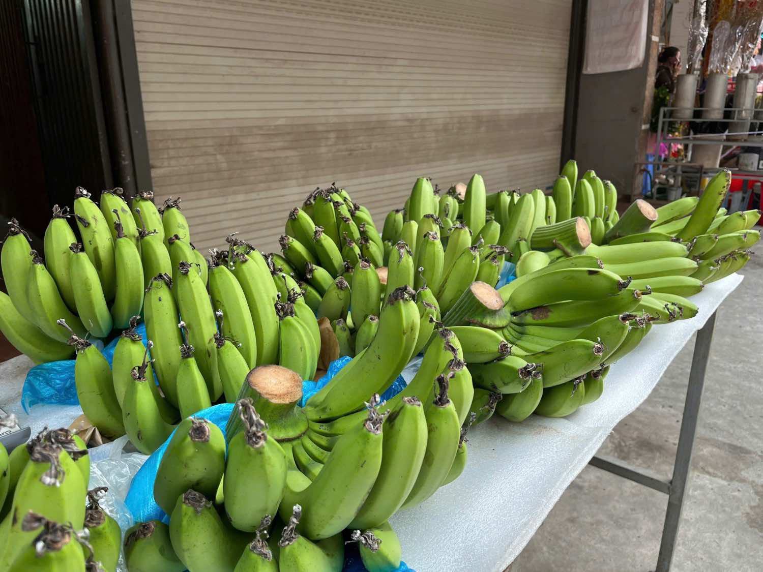 Các nải chuối xanh có giá tương đối cao vào dịp cận Tết năm nay. Ảnh: Mai Chi