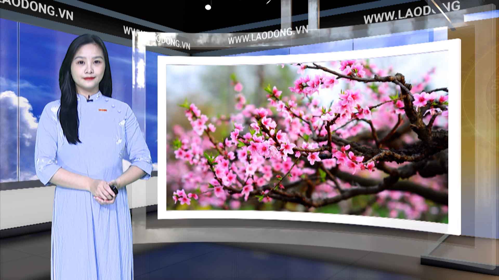 Weather forecast tonight and tomorrow 28.1 - 29.1 Tet