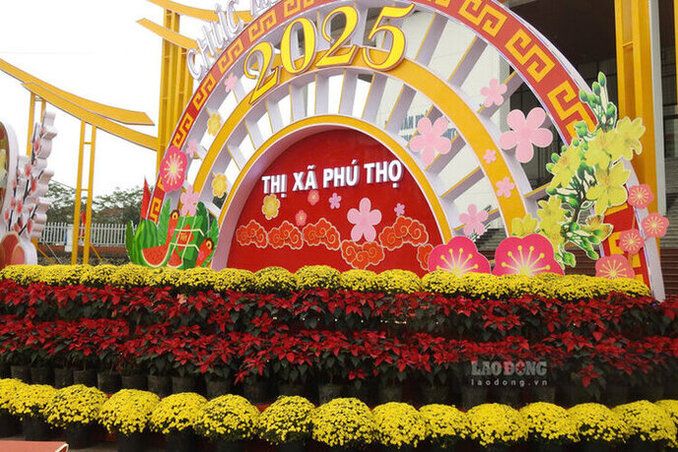 Pots of poinsettias and chrysanthemums brighten up the main landscape cluster at Binh Minh Square, Phu Tho town. Photo: To Cong.