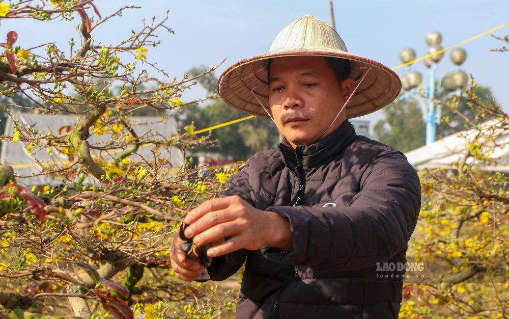 Tet flower sellers at Dong Ha city flower market are worried because of few customers. Photo: Nguyen Luan