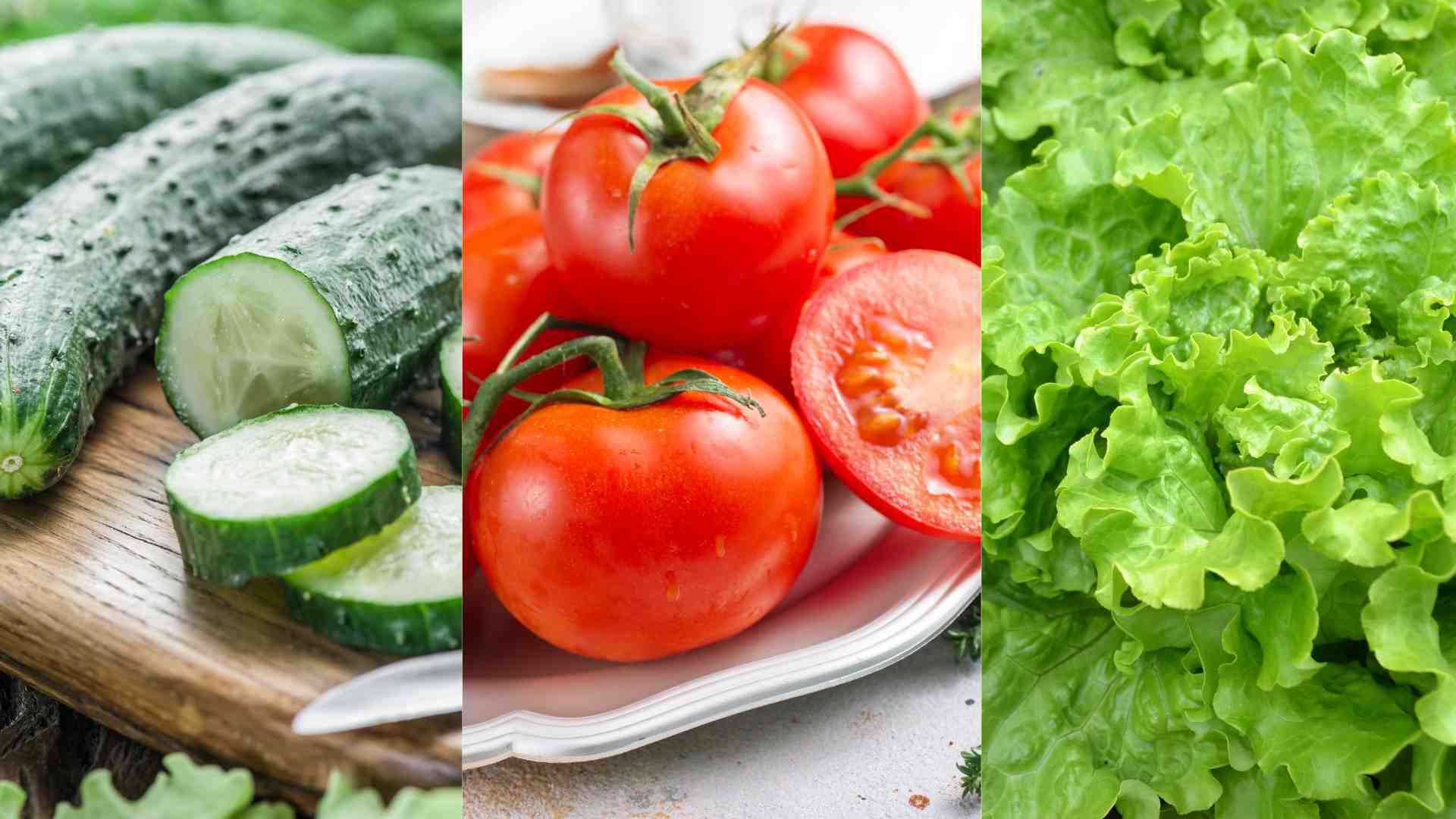 Here are 3 types of wild vegetables that effectively reduce uric acid.
