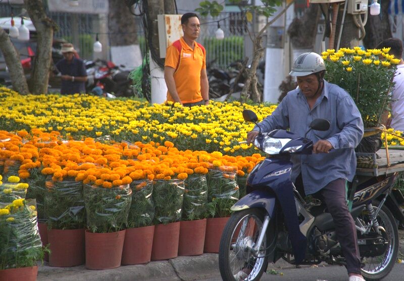 Van chuyen hoa ra ve nha khach. Anh: Nhat Ho