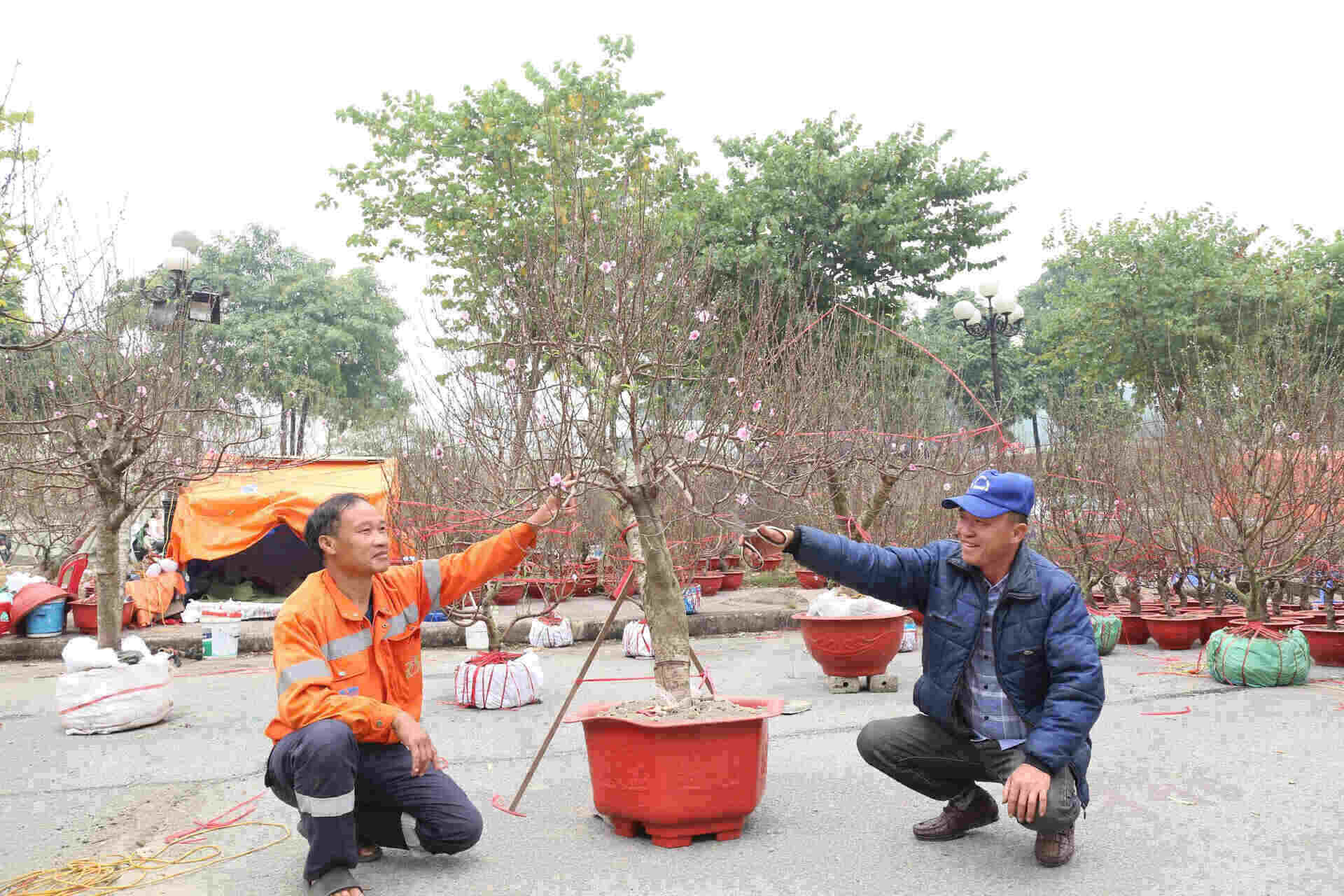 Ông Bùi Thiện Thi - Chủ tịch UBND thành phố Hoa Lư cho biết, Chợ hoa Tết là sự kiện được tổ chức thường niên hàng năm tại nhiều quận, huyện trên địa bàn TP Hồ Chí Minh đã trở thành nơi không ít nhà vườn, nghệ nhân trong và ngoài quận trưng bày, bán buôn và giao lưu, cũng như cung ứng hàng hóa tiêu dùng thiết yếu cho thị trường Tết Nguyên đán. Ảnh: Nguyễn Trường