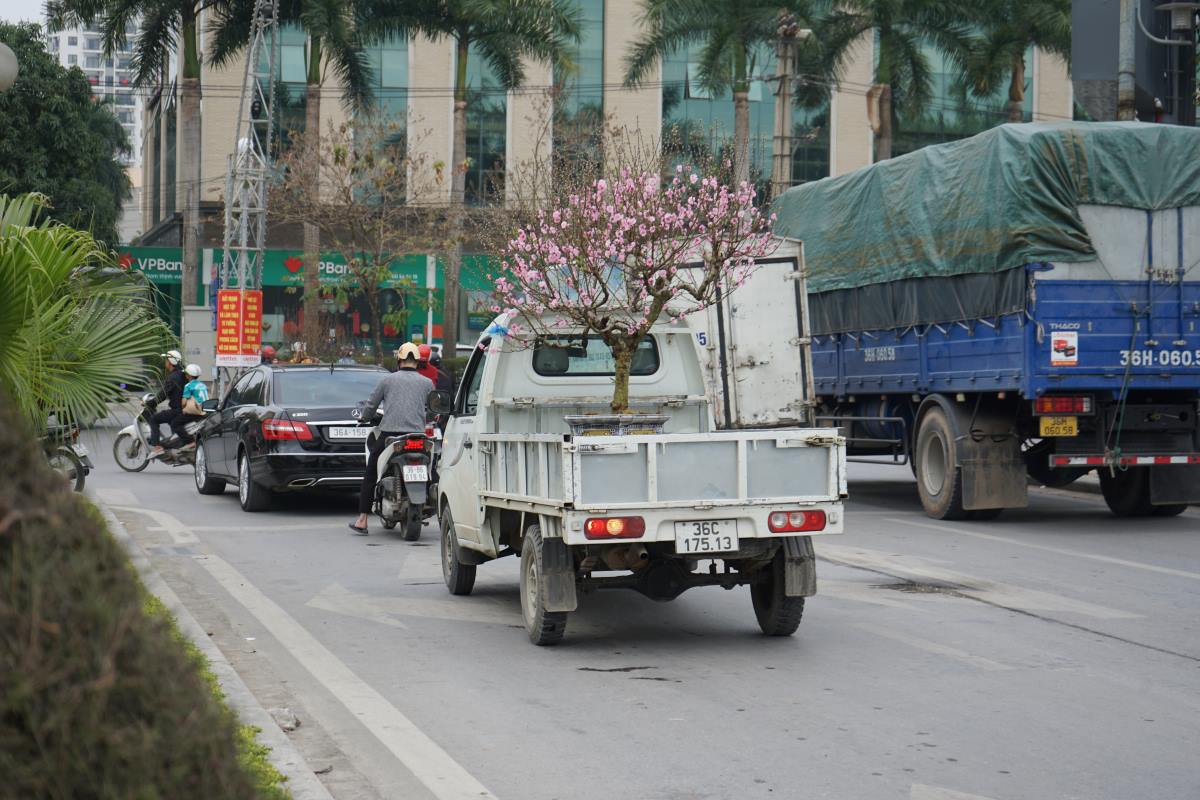 Nhung chiec xe cho hoa Xuan ve cac gia dinh. Anh: Quach Du 