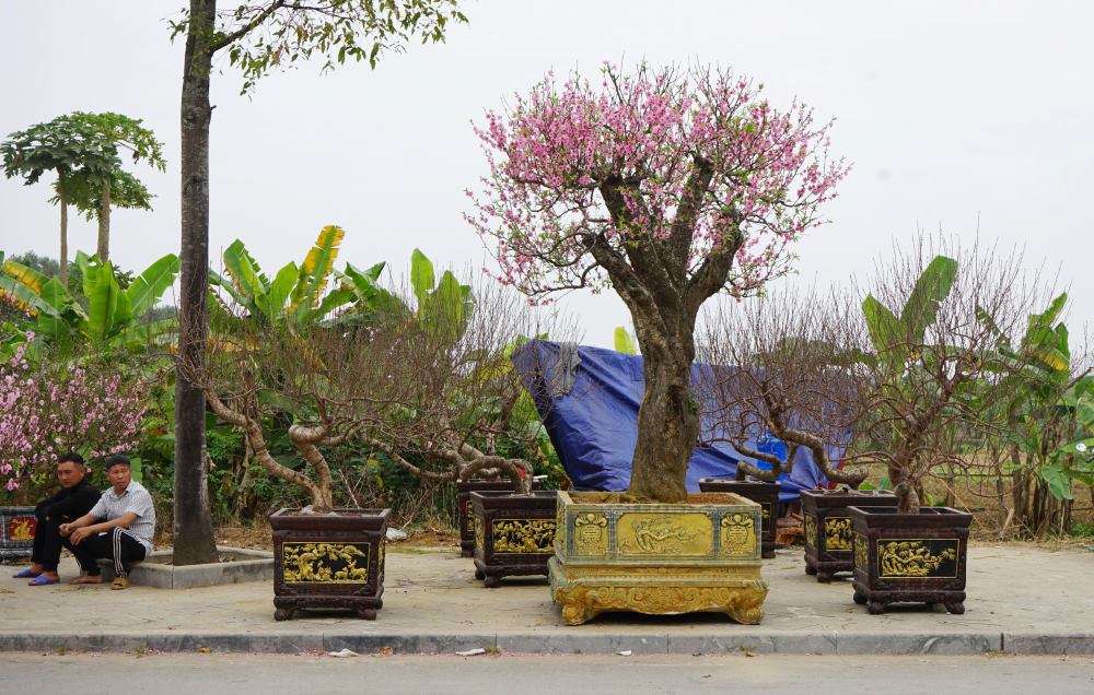 Tren tuyen duong Nguyen Duy Hieu (phuong Dong Huong, TP Thanh Hoa), cac tieu thuong ban hoa Tet ngoi ngong nguoi mua. Anh: Quach Du 