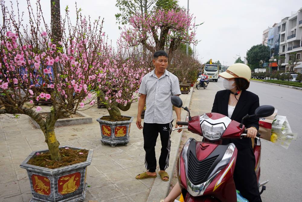 Anh Vu Van Tau (que o huyen Kien Thuy, TP Hai Phong) cho biet, nam nay anh lay dao tu Son La ve Thanh Hoa tu hom 12 Am lich, den nay da hon 10 ngay troi qua, nhung van chua ban het so dao nhap ve.