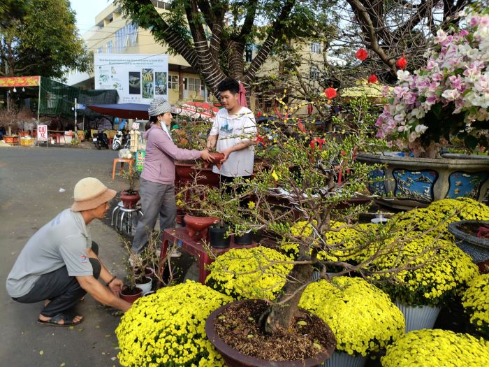 Tet is near but there are still many flowers and ornamental plants at the flower market and they have not been consumed as expected by traders. Photo: Do ​​Bao Lam