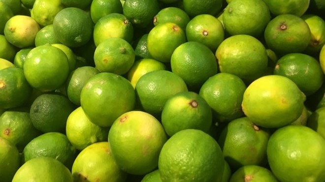 Drinking warm water with lemon in the morning helps cleanse the intestines effectively. Photo: Kieu Vu