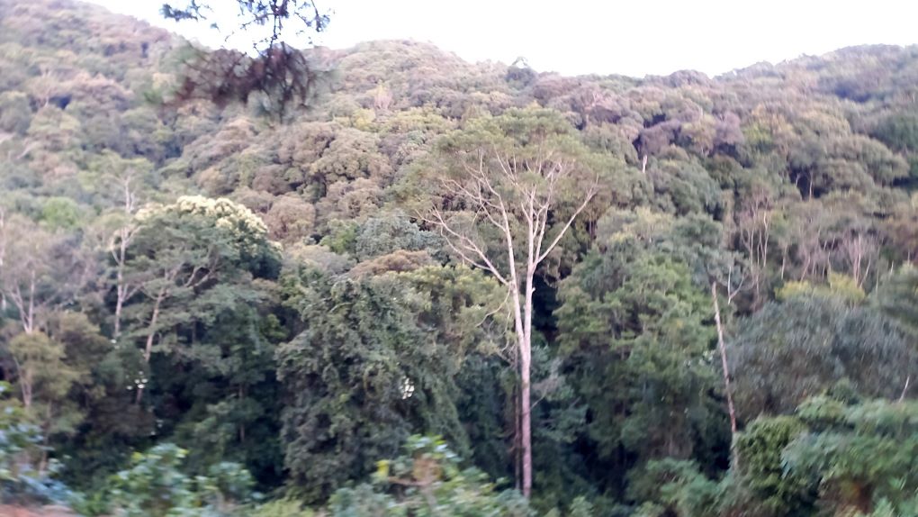 Lam Dong abolishes many decisions that are no longer appropriate. Photo: Xuan Trung