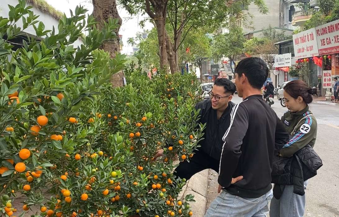 Kumquat and apricot are unsold, traders are worried and can't sleep.