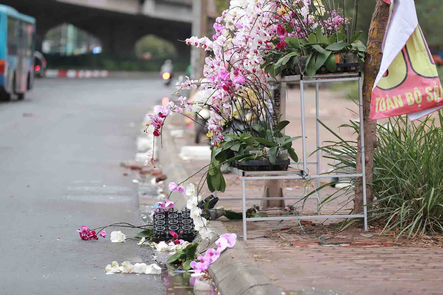 Nhieu goc lan bi thoi bay, anh huong den viec buon ban cua tieu thuong.