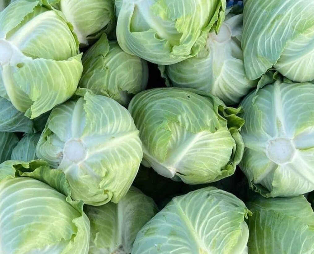 Detox your liver during Tet with these vegetables for good health. Photo: Kieu Vu