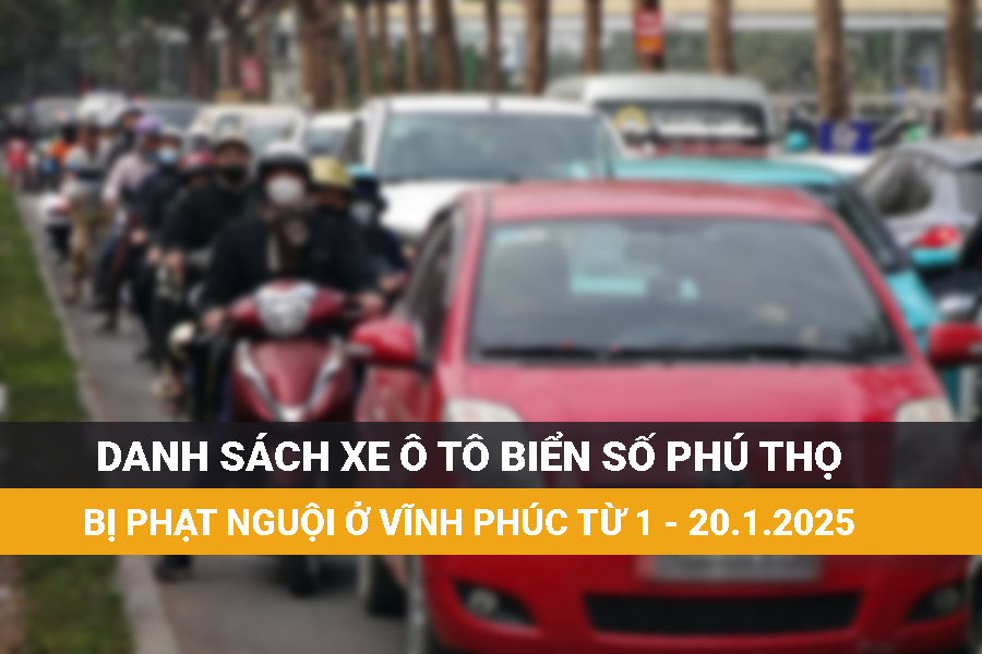 The following Phu Tho car owners went to the police to handle the fines