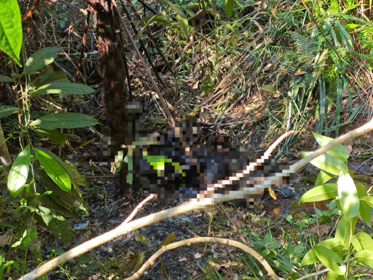 A charred body was found in the forest. Photo: Lam Hong