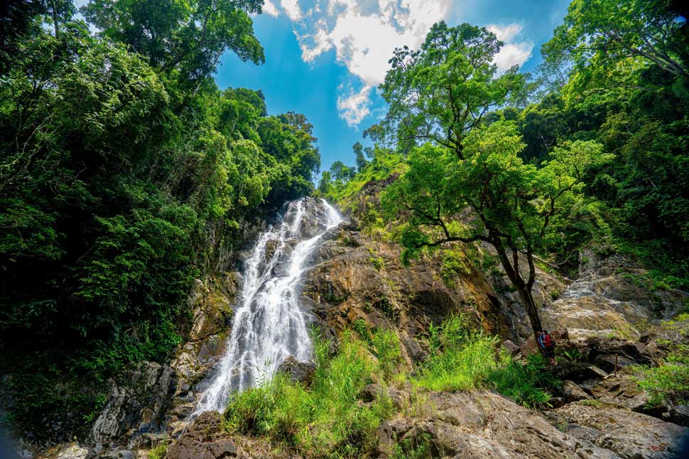 Khu Bảo tồn thiên nhiên An Toàn (huyện An Lão, Bình Định). Ảnh: Dũng Nhân