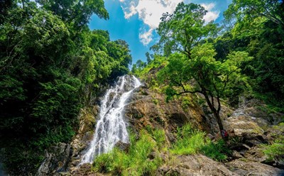 An Toan Nature Reserve (An Lao District, Binh Dinh). Photo: Dung Nhan