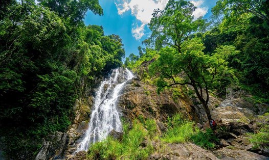 Khu Bảo tồn thiên nhiên An Toàn (huyện An Lão, Bình Định). Ảnh: Dũng Nhân