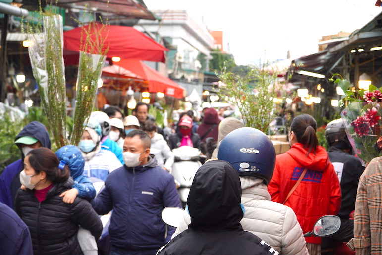 Cho hoa Quang An (Tay Ho, Ha Noi) duoc biet den la mot trong nhung cho dau moi ve hoa lon o Thu do. Vao nhung ngay can Tet, ca khu cho cang tro nen nhon nhip, tap nap ruc ro sac mau voi nhieu loai hoa duoc cac thuong lai tap ket ve day phuc vu nhu cau sam Tet cua nguoi dan.  