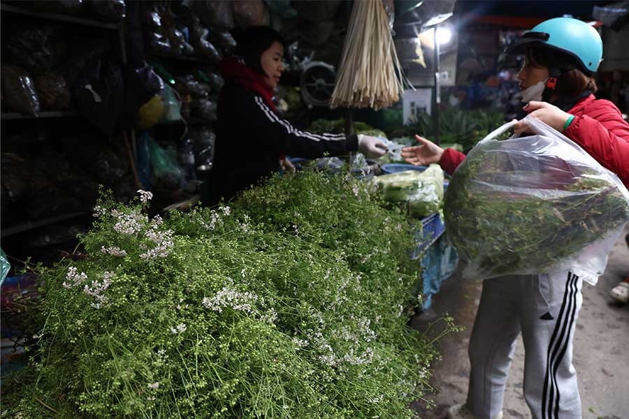 Why should you bathe with old coriander leaves on the afternoon of the 30th of Tet?
