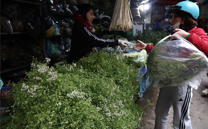 Why should you bathe with old coriander leaves on the afternoon of the 30th of Tet?