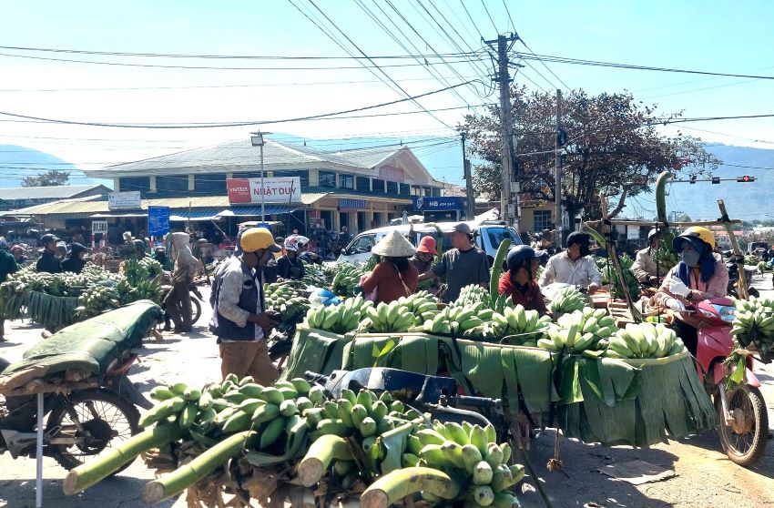 Chợ chuối mật mốc ngày giáp Tết. Ảnh: Hưng Thơ