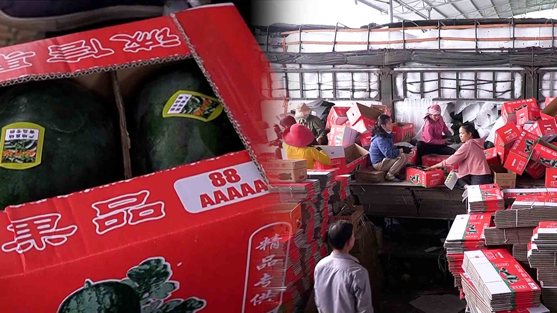 Increasing Vietnamese fruit exports near Tet