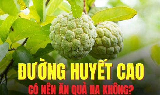 Nên ăn na vào thời điểm giữa các bữa ăn chính để tránh tăng đường huyết đột ngột. Đồ họa: Hoài Lan