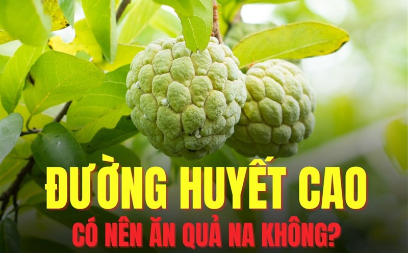 You should eat custard apples between main meals to avoid sudden increases in blood sugar. Graphics: Hoai Lan