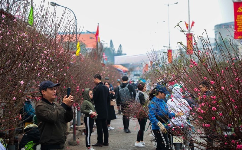 Du bao thoi tiet mien Bac ret dam Tet 2025. Anh: LDO