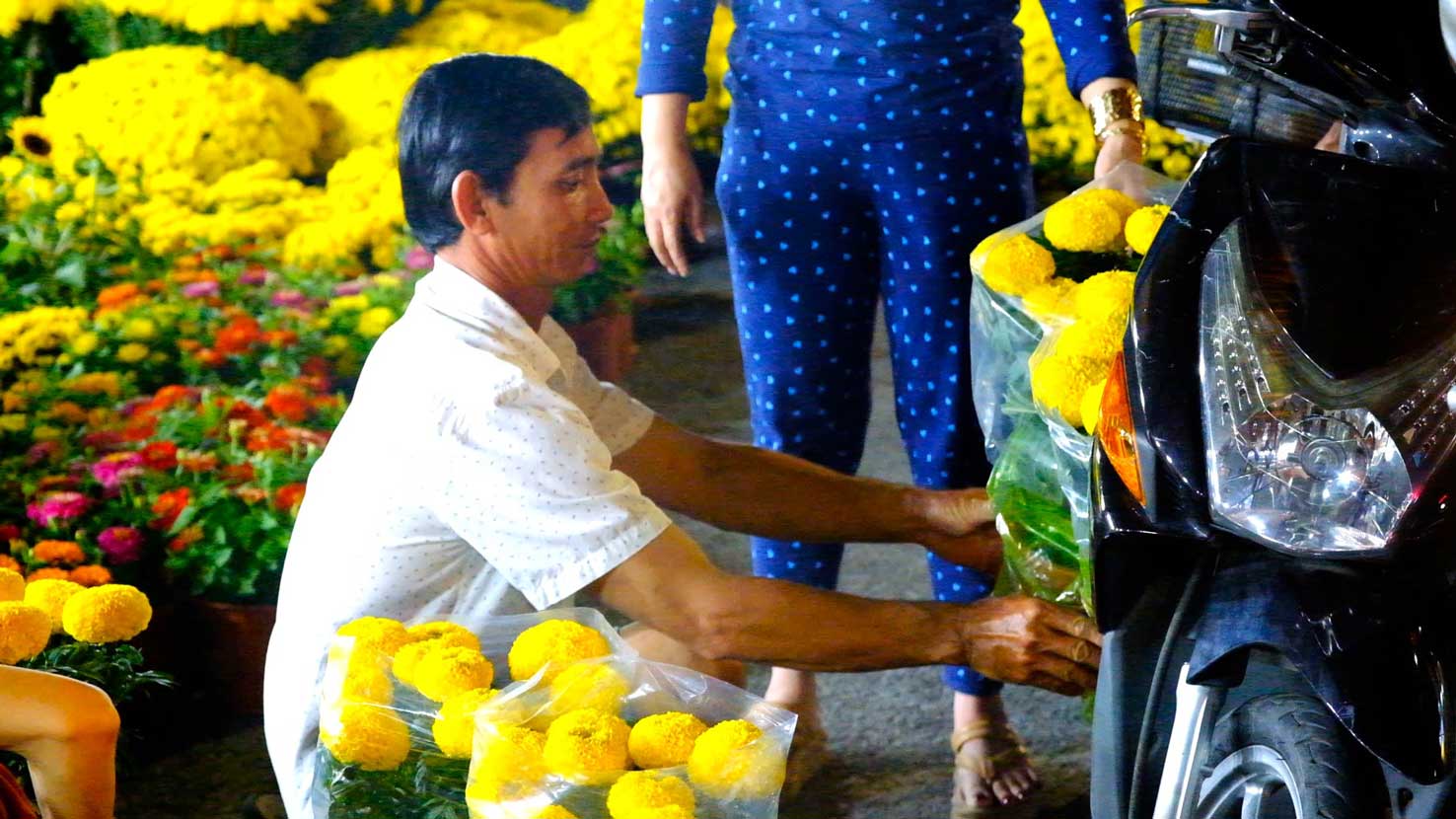 Nha vuon mong ban het hoa som de ve nha an Tet. Anh: My Ly