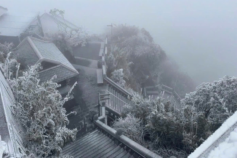 Cay co tren dinh nui Fansipan tu do cao 2.800 m tro len duoc phu boi mot lop tuyet trang. 