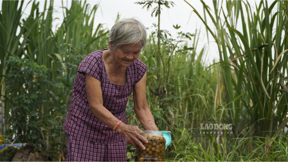 Ms. Tran Thi Tu, residing in U Minh Thuong district (Kien Giang), received support from readers near and far of Lao Dong Newspaper. Photo: Nguyen Anh