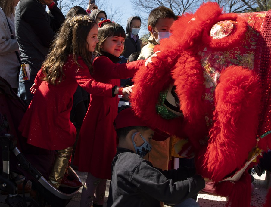 Lion dance to celebrate Lunar New Year in Houston, Texas, USA. Illustration photo: Xinhua