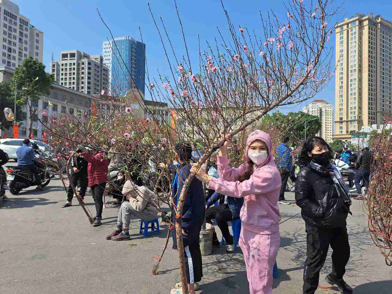 Although peach and kumquat prices at major flower markets have dropped sharply, the number of buyers is sparse. Photo: Luc Giang