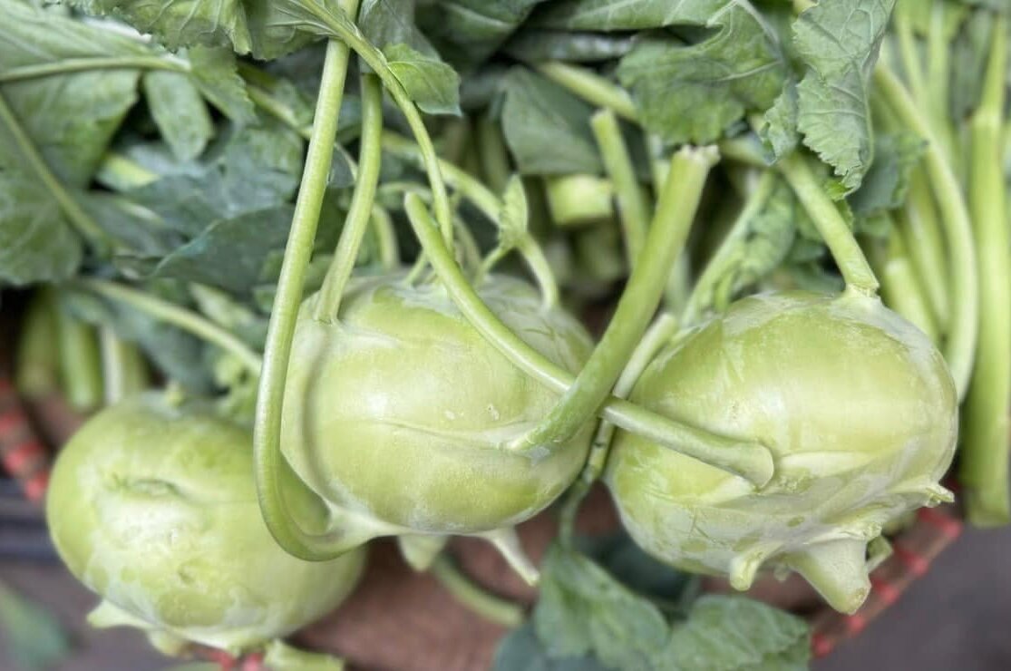 Add kohlrabi to your diet to help lower blood sugar. Photo: Kieu Vu