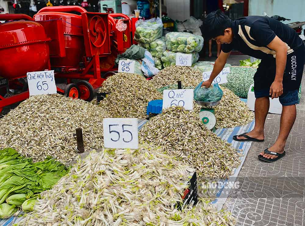 Cu kieu la mat hang duoc ua chuong, nhieu nguoi mua ve lam dua chua an trong ngay Tet. Anh: Huynh Nhi