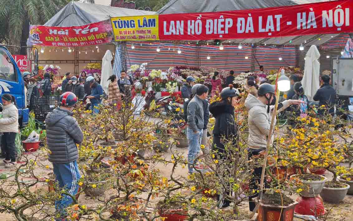 Nguoi dan tap nap dao cho hoa Tet. Anh: Quang Dai