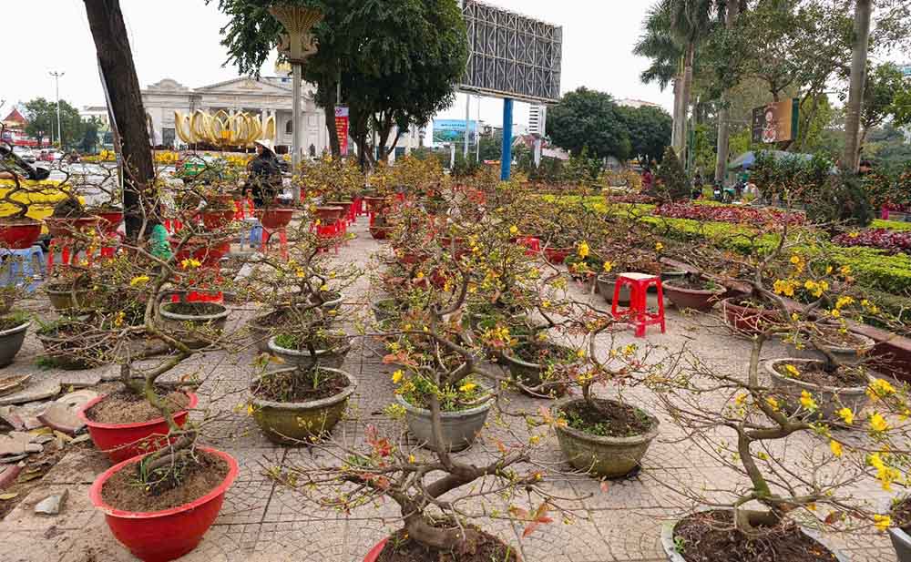 Mat hang mai Tet con ton dong nhieu, it khach mua. Anh: Quang Dai