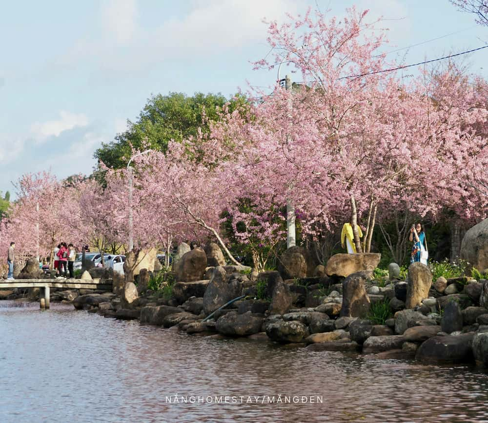 Mai Anh Dao tao nen ve quyen ru, hap dan cho Mang Den. Anh: Nang Homestay