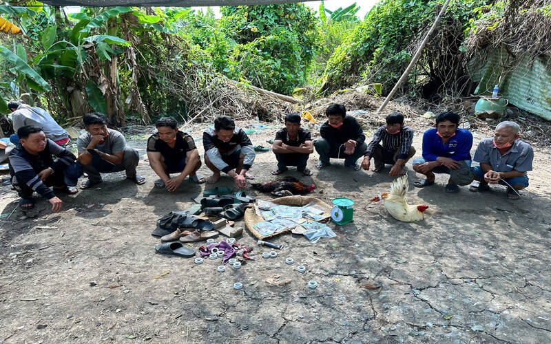 Caught 11 people gambling on cockfighting on the eve of Tet. Photo: Provided by the police